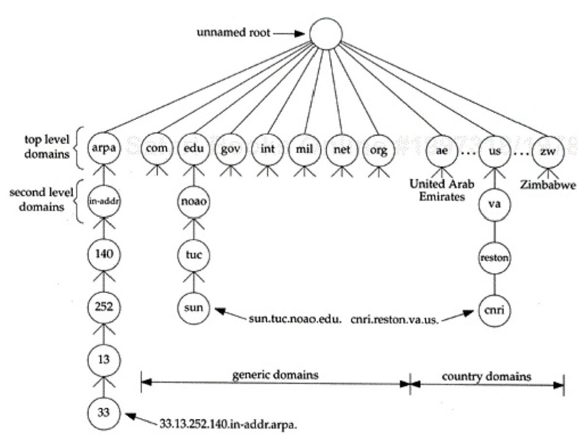 DNS
